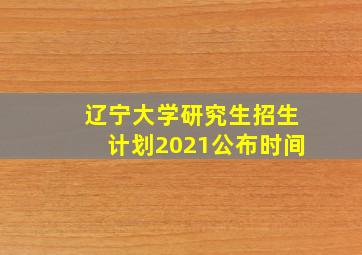 辽宁大学研究生招生计划2021公布时间