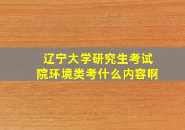 辽宁大学研究生考试院环境类考什么内容啊