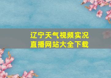 辽宁天气视频实况直播网站大全下载