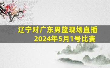 辽宁对广东男篮现场直播2024年5月1号比赛