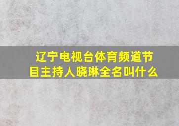 辽宁电视台体育频道节目主持人晓琳全名叫什么