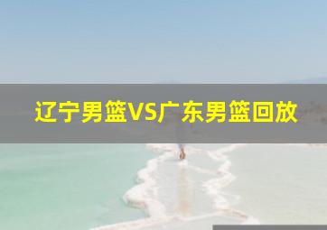 辽宁男篮VS广东男篮回放