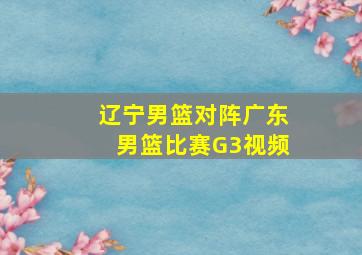 辽宁男篮对阵广东男篮比赛G3视频