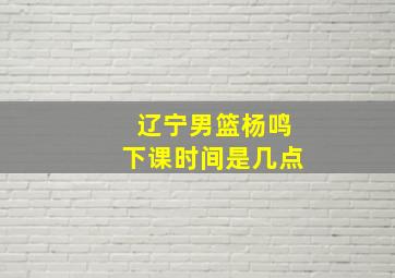 辽宁男篮杨鸣下课时间是几点