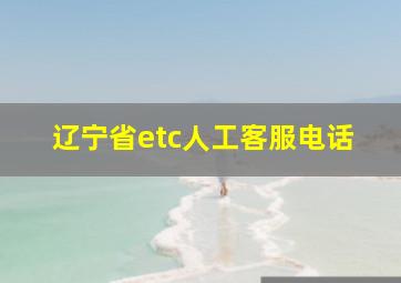 辽宁省etc人工客服电话