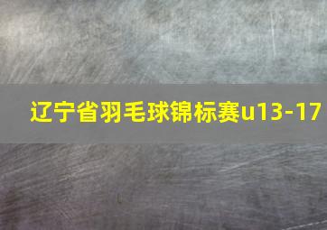 辽宁省羽毛球锦标赛u13-17