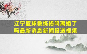 辽宁蓝球教练杨鸣离婚了吗最新消息新闻报道视频