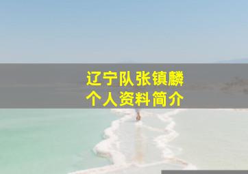 辽宁队张镇麟个人资料简介