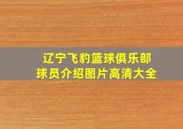 辽宁飞豹篮球俱乐部球员介绍图片高清大全