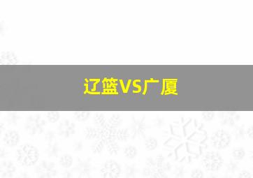 辽篮VS广厦