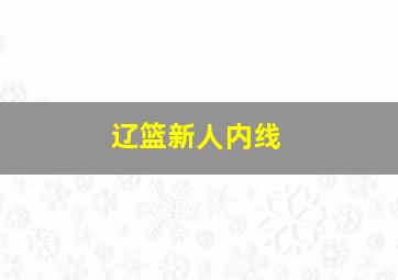 辽篮新人内线