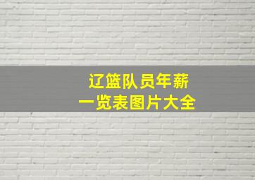 辽篮队员年薪一览表图片大全