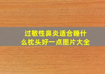 过敏性鼻炎适合睡什么枕头好一点图片大全