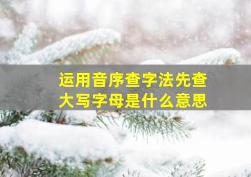 运用音序查字法先查大写字母是什么意思