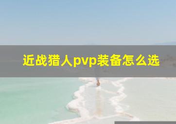 近战猎人pvp装备怎么选