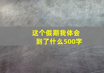 这个假期我体会到了什么500字