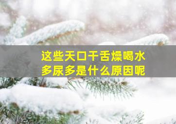 这些天口干舌燥喝水多尿多是什么原因呢