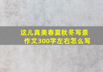 这儿真美春夏秋冬写景作文300字左右怎么写