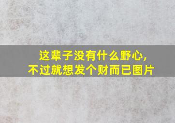 这辈子没有什么野心,不过就想发个财而已图片