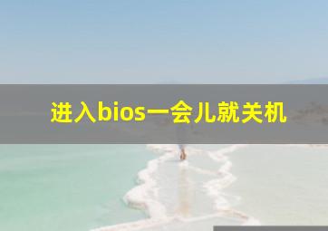 进入bios一会儿就关机