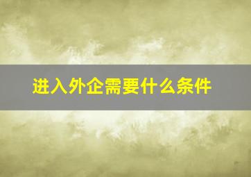 进入外企需要什么条件