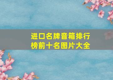 进口名牌音箱排行榜前十名图片大全