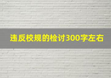 违反校规的检讨300字左右