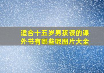 适合十五岁男孩读的课外书有哪些呢图片大全