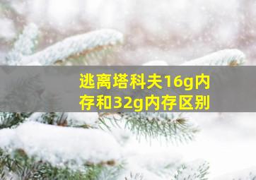 逃离塔科夫16g内存和32g内存区别