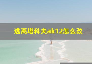 逃离塔科夫ak12怎么改