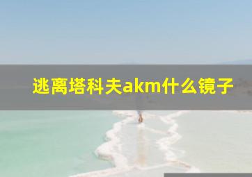 逃离塔科夫akm什么镜子