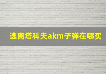 逃离塔科夫akm子弹在哪买