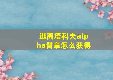 逃离塔科夫alpha臂章怎么获得