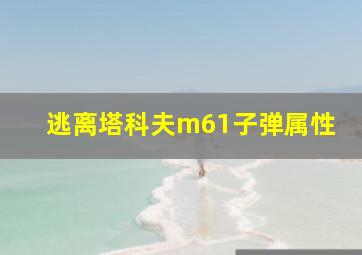 逃离塔科夫m61子弹属性