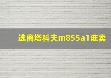 逃离塔科夫m855a1谁卖