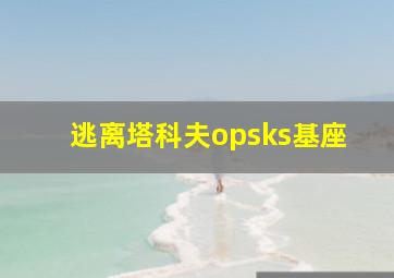 逃离塔科夫opsks基座