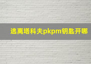 逃离塔科夫pkpm钥匙开哪