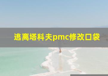 逃离塔科夫pmc修改口袋