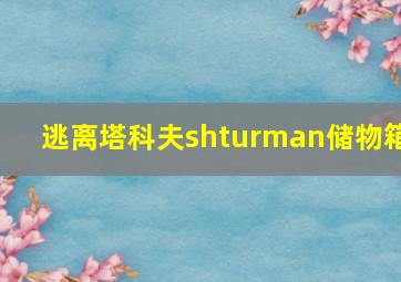 逃离塔科夫shturman储物箱