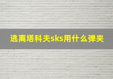 逃离塔科夫sks用什么弹夹