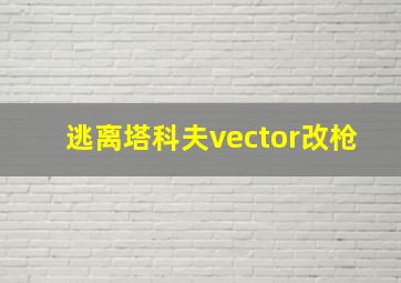 逃离塔科夫vector改枪