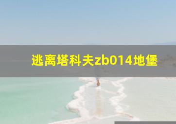 逃离塔科夫zb014地堡