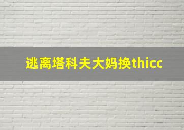 逃离塔科夫大妈换thicc