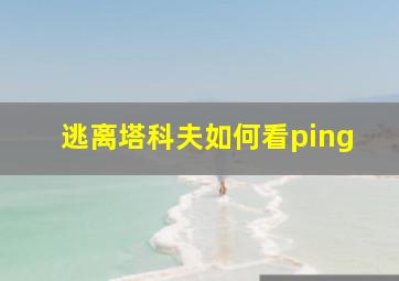 逃离塔科夫如何看ping