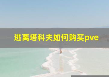 逃离塔科夫如何购买pve