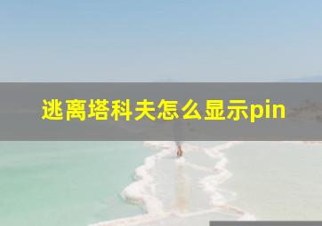 逃离塔科夫怎么显示pin