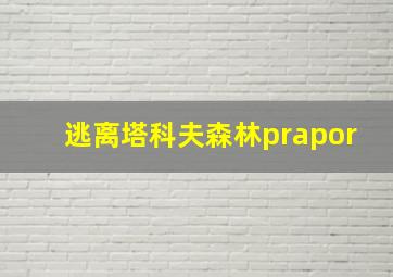 逃离塔科夫森林prapor