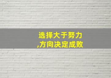 选择大于努力,方向决定成败