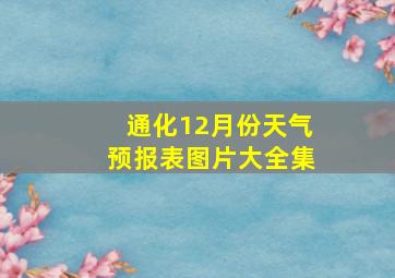 通化12月份天气预报表图片大全集