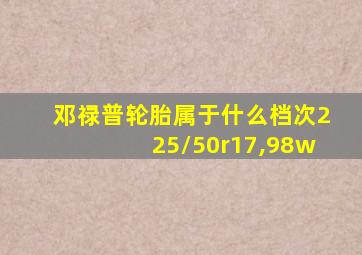 邓禄普轮胎属于什么档次225/50r17,98w